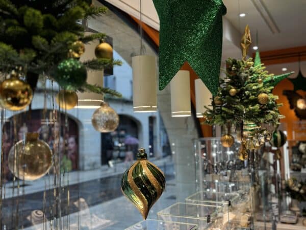 décoration vitrine professionnels Libourne noel