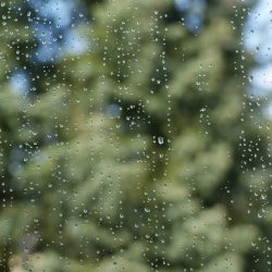 window-g85e347f11_1280
